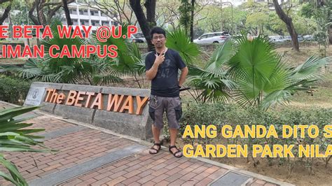 betway up diliman|A better Beta Way in the works – University of the .